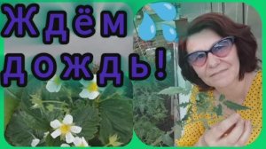 Я его так ждала, но видно не судьба! 🤷♀️