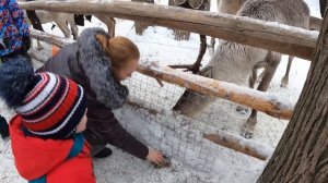 Живой уголок "СКАЗКА" Самара посёлок УПРАВЛЕНЧЕСКИЙ 30