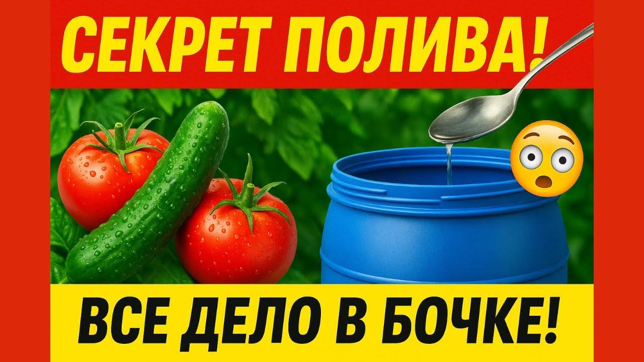 🌿 Как Получить Урожай без Перекорма? Главный Лайфхак для Огородников!