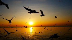 Природа восхитительна 32