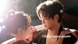 Обзор мини дорам: "Захват небесного дворца" и "Горящее сердце".