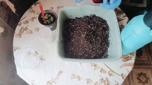 Готовим грунт своими руками! Пенопластовые шарики как