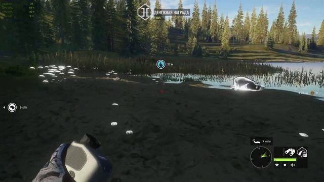 theHunter CotW. Два Великих Черных медведя.Мега удача. Топ ка? смотреть онлайн