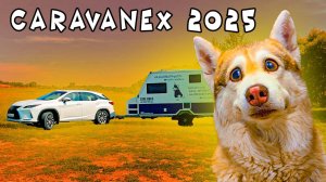 Путешествие на CARAVANEX 2025 с ХАСКИ БУБЛИКОМ!!