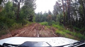 ПРОБИРАЮСЬ на НИВЕ по РОДНЫМ ПРОСТОРАМ