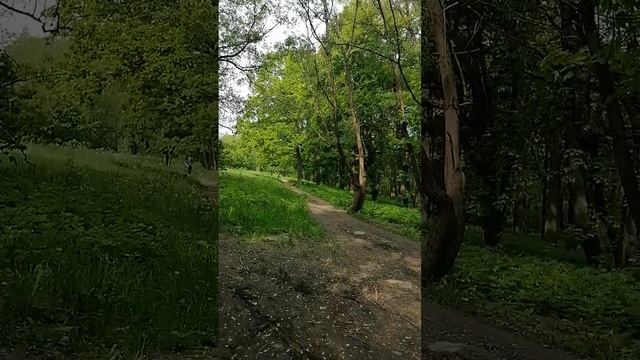 Парк