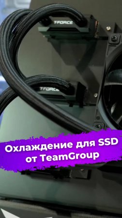 Охлаждение для SSD от TeamGroup #SSD #кулер #TeamGroup #Computex2025 #сборкаПК #видеоигры #ixbt