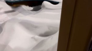 Мир Денди в реальной жизни 2!