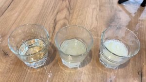 «Эмульгирование жира». Биология, 9 класс. Домашний опы?