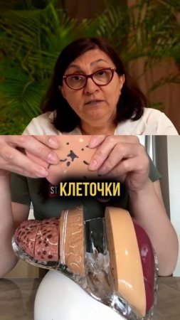 Что происходит с печенью из-за переизбытка глюкозы и токсинов?