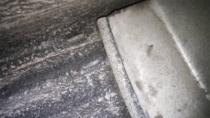 Т4 глушитель нержавейка и антикор АМС3на моём авто.