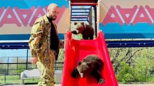 УНИКАЛЬНО! Мишки Топа и Кнопа пришли на новую горку и сразу же ее исследовали!