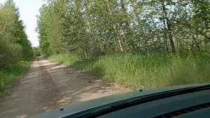 Средство от депрессии - забота о близких