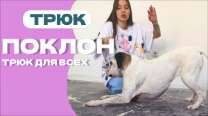 ВЫУЧИТЬ ПОКЛОН С СОБАКОЙ, простая команда