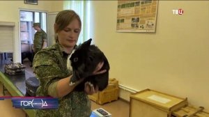 Телеканал «ТВЦ», программа «Город новостей», 30.05.2025