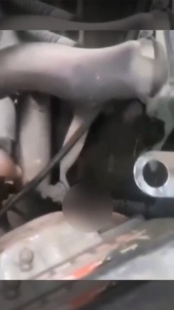 Отучить жену вождению
