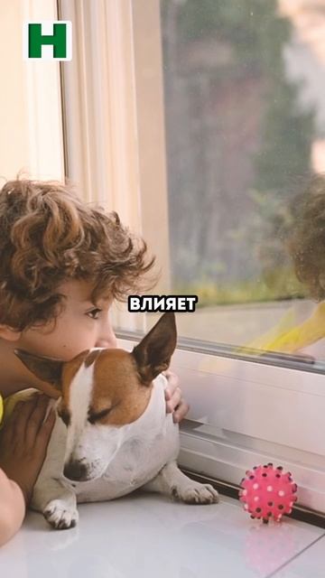 Что такое фурнитура на окнах и зачем она нужна? #окна #р смотреть онлайн