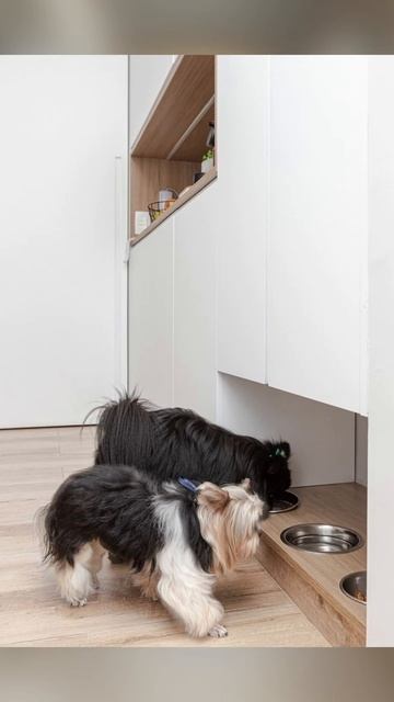 УГОЛОК ДЛЯ ПИТОМЦА В СОВРЕМЕННОМ ИНТЕРЬЕРЕ #shorts #short смотреть онлайн