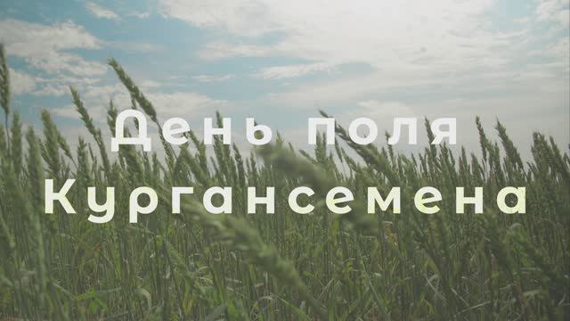 День Поля Кургансемена - 2024