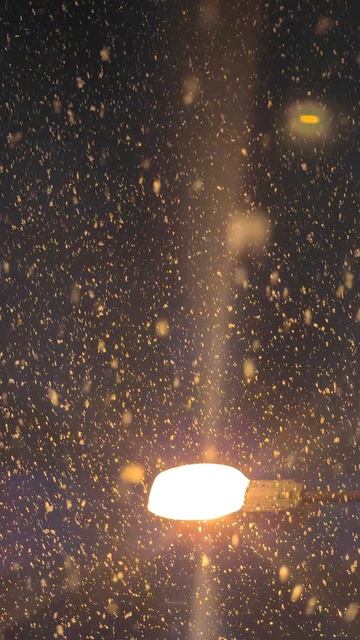 Скачать обои на телефон смотреть онлайн