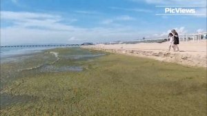 МАЗУТА НЕТ, но много тины! Пляж Витязево сегодня 2 июня 2025. Сезон в Анапе открыт? Погода и море