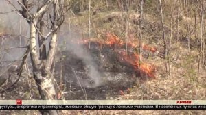 Особый противопожарный режим 30.05.2025