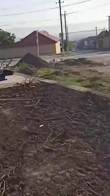 катаяме вес сила волк смотреть онлайн