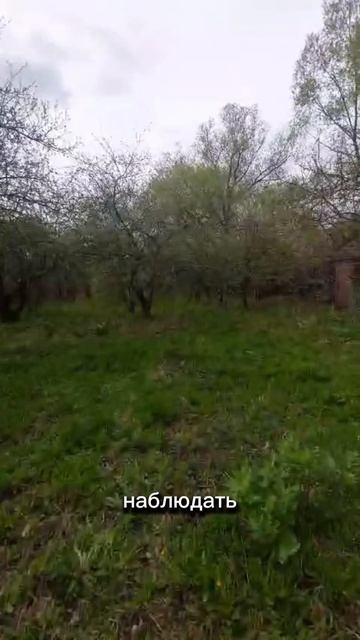 Деревня Качаново. Кирпичный дом
#Рязань #Рыбное #риелтор #домвдеревне #дом #кирпичныйдом