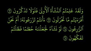 Суры Корана Аль Вакиа ( 62-66 Выучите Коран)