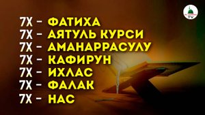 Аль Фатиха, Аятуль Курси, Бакара Аяты, Кафирун, Ихлас, Фалак, Нас по 7 раз