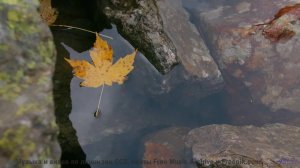 Трек, который изменит взгляд на природу - Sweet Nothing -- Blue Lotus -- Blue Lotus
