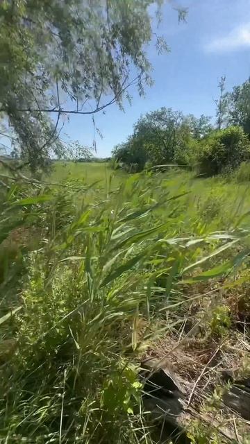 Акриловые маркеры и наборы для рисования. Каталог 👉 ht смотреть онлайн