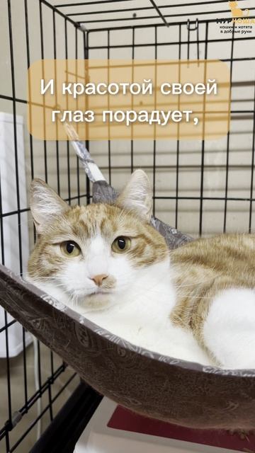 Милоуз (уже дома)