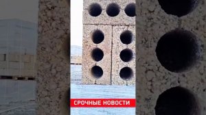 Трехпустотный керамзитный блок. Александровское Комм