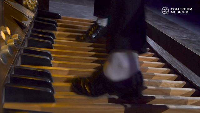 Фрагмент концерта «Виртуозная педаль». Джордж Талбен-Болл — Вариации на тему Паганини для педали смотреть онлайн