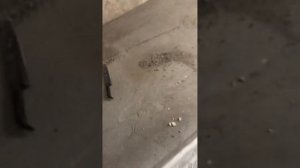 Наливной пол перед ламинатом