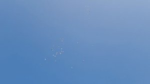 1000003402.mp4