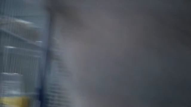 "Обитаемый остров" смотреть онлайн