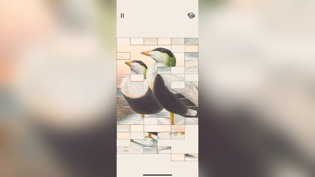 🖼️Art of Fauna #8