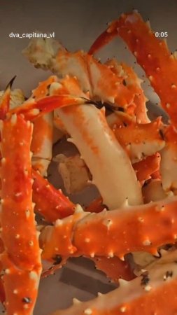 Самая вкусная морская рыбалка во Владивостоке