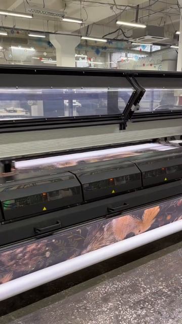 Новая коллекция Невская Галерея х Карина Кино. Делимс? смотреть онлайн