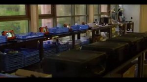 EFER ENDOSCOPY Дурдан Франция