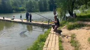 Александр в деле