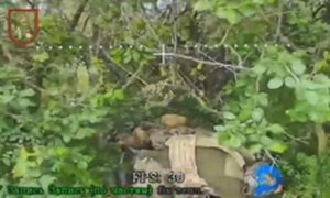 4-я ОМСБр наваливает пехоте ВСУ на Торецком направлении.