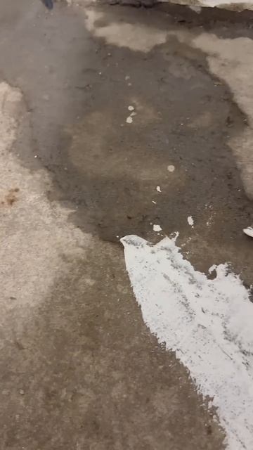 Ровнитель пола без гидроизоляции. Как? смотреть онлайн