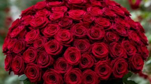 Я ВСТРЕТИЛ РОЗУ!