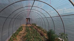 Навела свои порядки