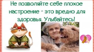ПЛОХАЯ ПОГОДА И ПОМОЩЬ ЗДОРОВЬЮ – VI-2025