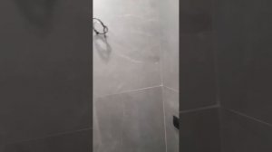 Керамогранит 120×60,удивлён был 5мм толщиной,обычно 10мм