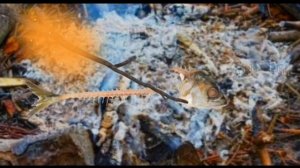 ꧁Топ 3 страшилки/Wildcraft/꧂